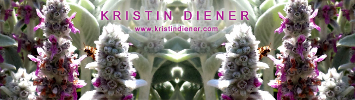 www.kristindiener.com